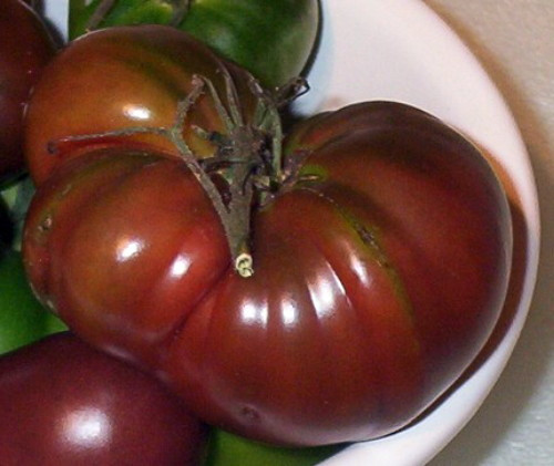 Black Russian Tomato 30 Seeds Heirloom Hirt's Gardens