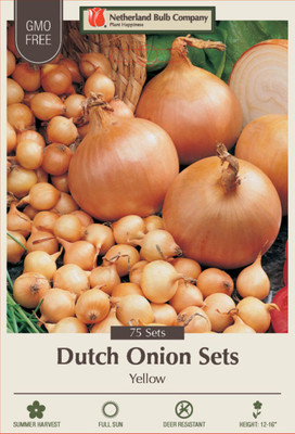 Stuttgarter Pickle Riesen Yellow Onion Sets - 75 Bulbs - Sweet Taste