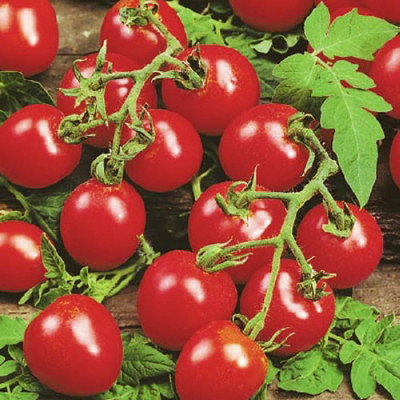 Husky Cherry Red Tomato - 20 Seeds