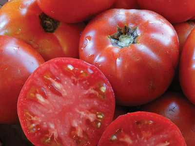 Ukrainian Heirloom Variety - Cosmonaut Volkov Tomato - 20 Seeds