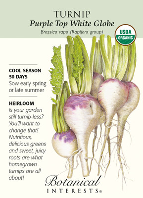 Purple Top White Globe ORGANIC Turnip Seeds - 2 grams