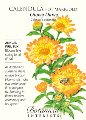 Oopsy Daisy Calendula Pot Marigold  Seeds - 700 mg
