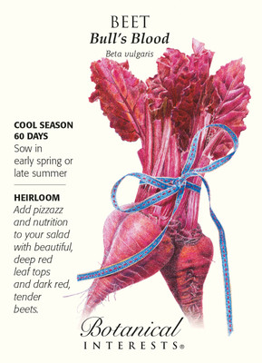 Bull's Blood Beets Heirloom Seeds - 3 grams