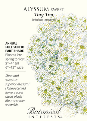 Tiny Tim Sweet Alyssum Seeds - 250 mg