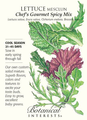 Chef's Choice Mesclun Lettuce Seeds - 1.5 grams