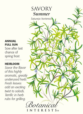 Summer Savory Seeds - 750 mg - Heirloom