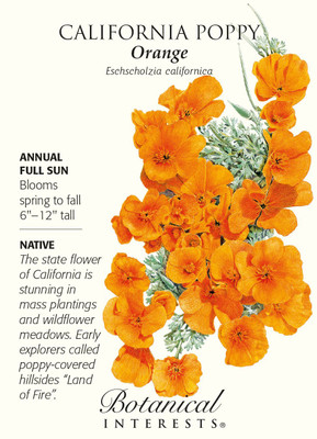 Orange California Poppy Seeds - 2.5 grams - Perennial