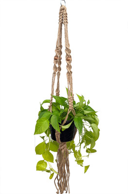 Natural Jute Macrame Plant Hanger - 55" Length - Holds 8-12" Pot Size -Model 32S