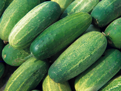 National Pickling Cucumber - 50 Seeds