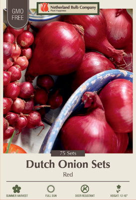 Karmen Dutch Red Onion Sets 75 Bulbs - Mild Flavor