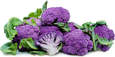 Purple Cauliflower Plant - 2.5" Pot