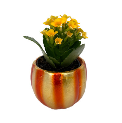 Mini Pepo Pumpkin Planter with Yellow Kalanchoe Succulent Plant- 3" x 3"