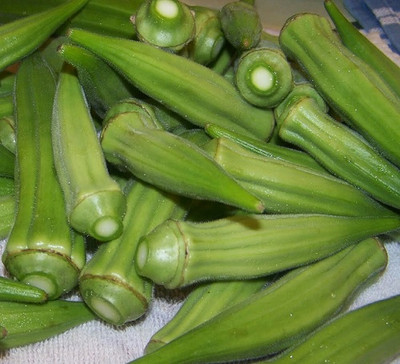 Clemson Spineless Okra Seeds - 20 Seeds