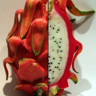 Dragon Fruit Plant - Hylocereus - Pitaya/Strawberry Pear