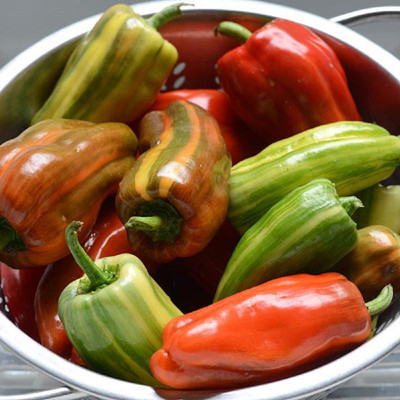 Sweet Candy Cane Red Pepper Seeds - 10 Seeds