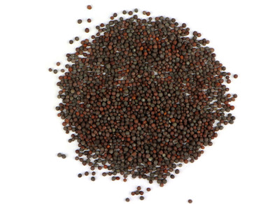 Organic Brown Mustard Seeds - 2 Grams