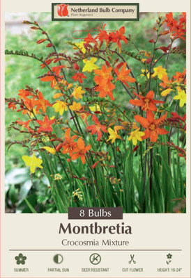 Crocosmia Crocosmilflora Mixture - 8 Bulbs - Montbretia - Very Hardy - Colorful