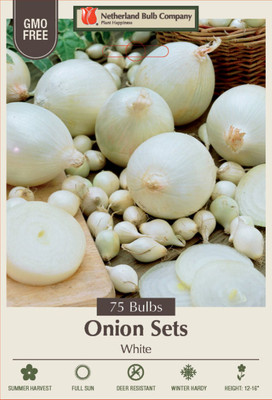 White Onion Sets - 75 Bulbs - 14/21mm Bulbs