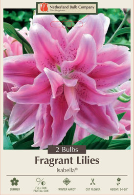 Isabella Double Oriental RoseLily - 2 Bulbs - Huge Double Blooms - Fragrant