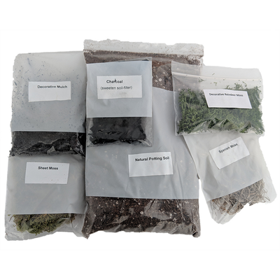 Terrarium/Fairy Garden Kit - Create Your Own Living Terrarium