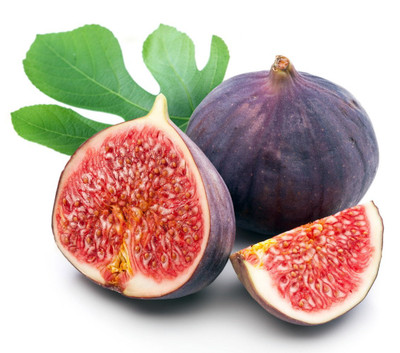 Fignominal Fig Tree - Ficus carica hybrid - 4" Pot
