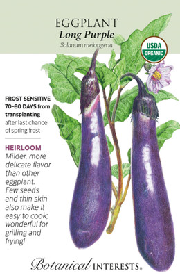 Organic Long Purple Eggplant Seeds - 300 mg