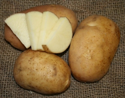 California White Potato - 6 Tubers