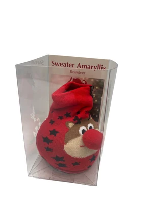Rudolph Sweater Wax Amaryllis Bulb - Blooms Without Soil/Water