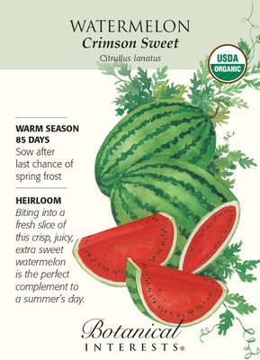 Organic Crimson Sweet Watermelon Seeds - 1.5 grams
