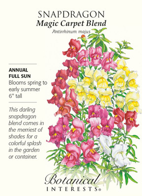 Magic Carpet Blend Snapdragon Seeds - 350 mg - Annual