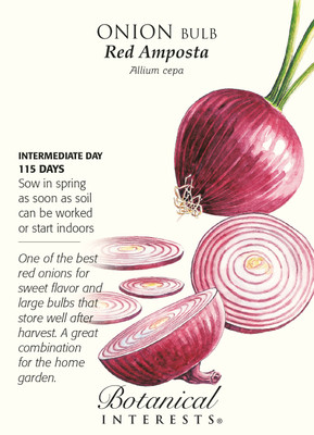 Red Amposta Onion Seeds - 750mg