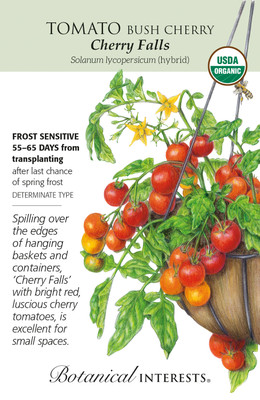 Organic Cherry Falls Bush Cherry Tomato Seeds - 15 Seeds
