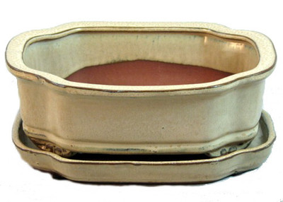 Ceramic Bonsai Pot with Saucer - Beige - Rectangle - 8" x 6.25" x 3"