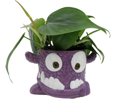 Snaggle Tooth Purple  Halloween Planter with House Plant -4" Purple Ceramic Pot