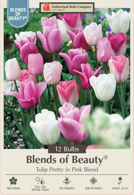 Pretty in Pink Mix Tulip - Pink & White - 12/+cm Bulbs -12 Bulbs