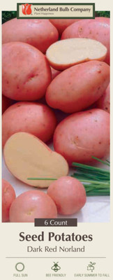 Red Norland Seed Potato - 6 Tubers - Heirloom - Great Taste!