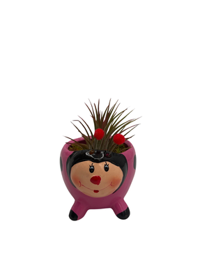 Ceramic Pink Ladybug Planter plus Live Air Plant - Tillandsia - 3" Pot