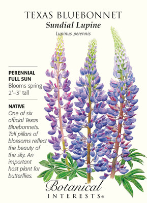 Texas Bluebonnet Sundial Lupine Seeds - 1.5 grams