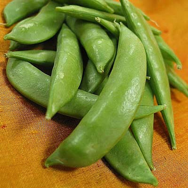 sugar snap peas seed