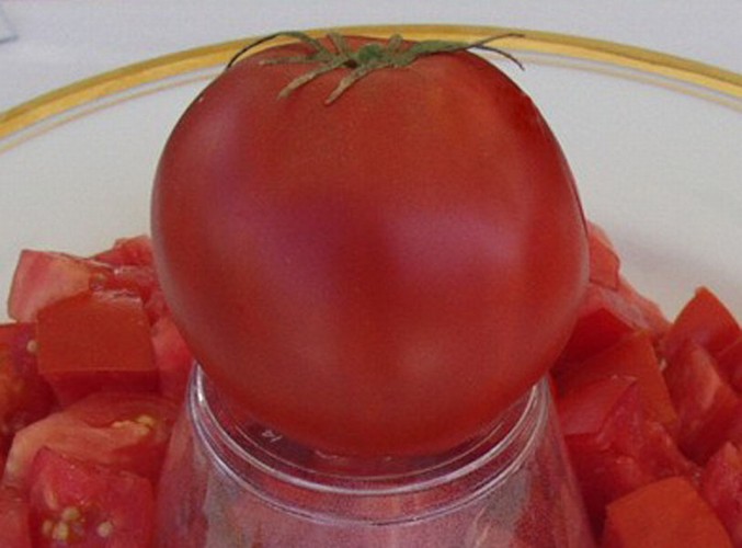 Ukrainian Heirloom Variety - Cosmonaut Volkov Tomato - 20 Seeds