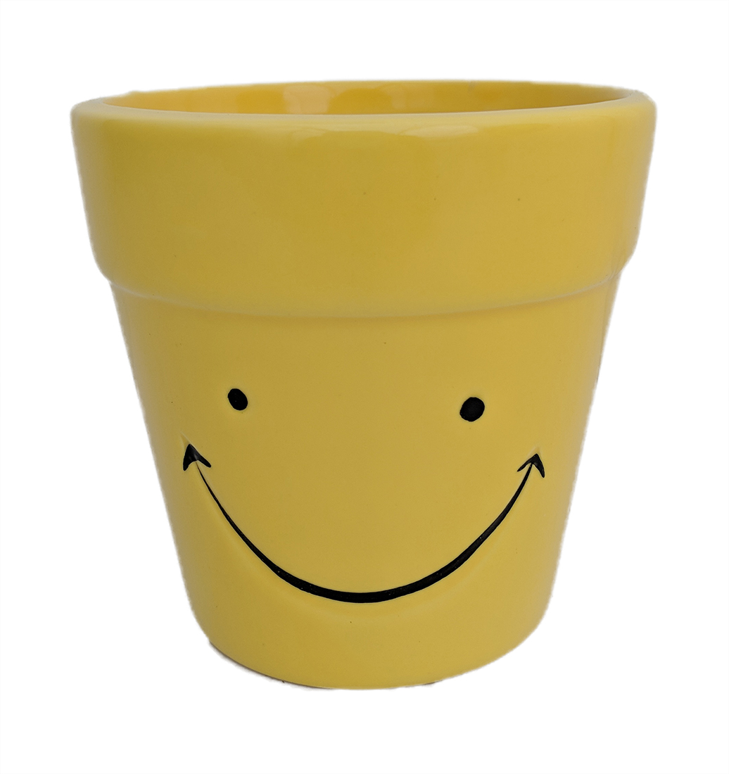 Smiley Face Pot
