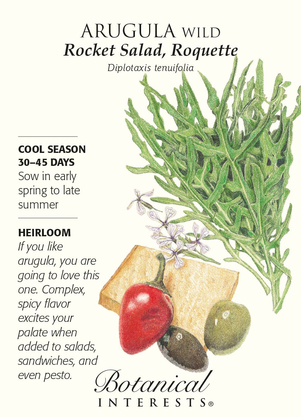 Arugula Salads And Sprouts, varieties, production, seasonality