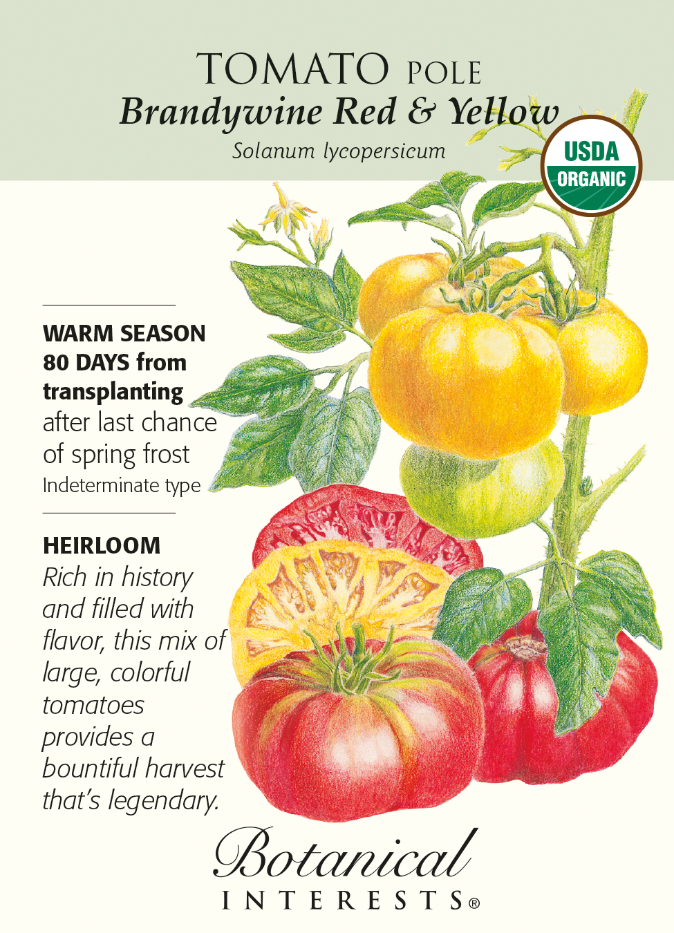 Brandywine Red & Yellow Pole Tomato Seeds - Organic - 200 mg - Hirt's  Gardens