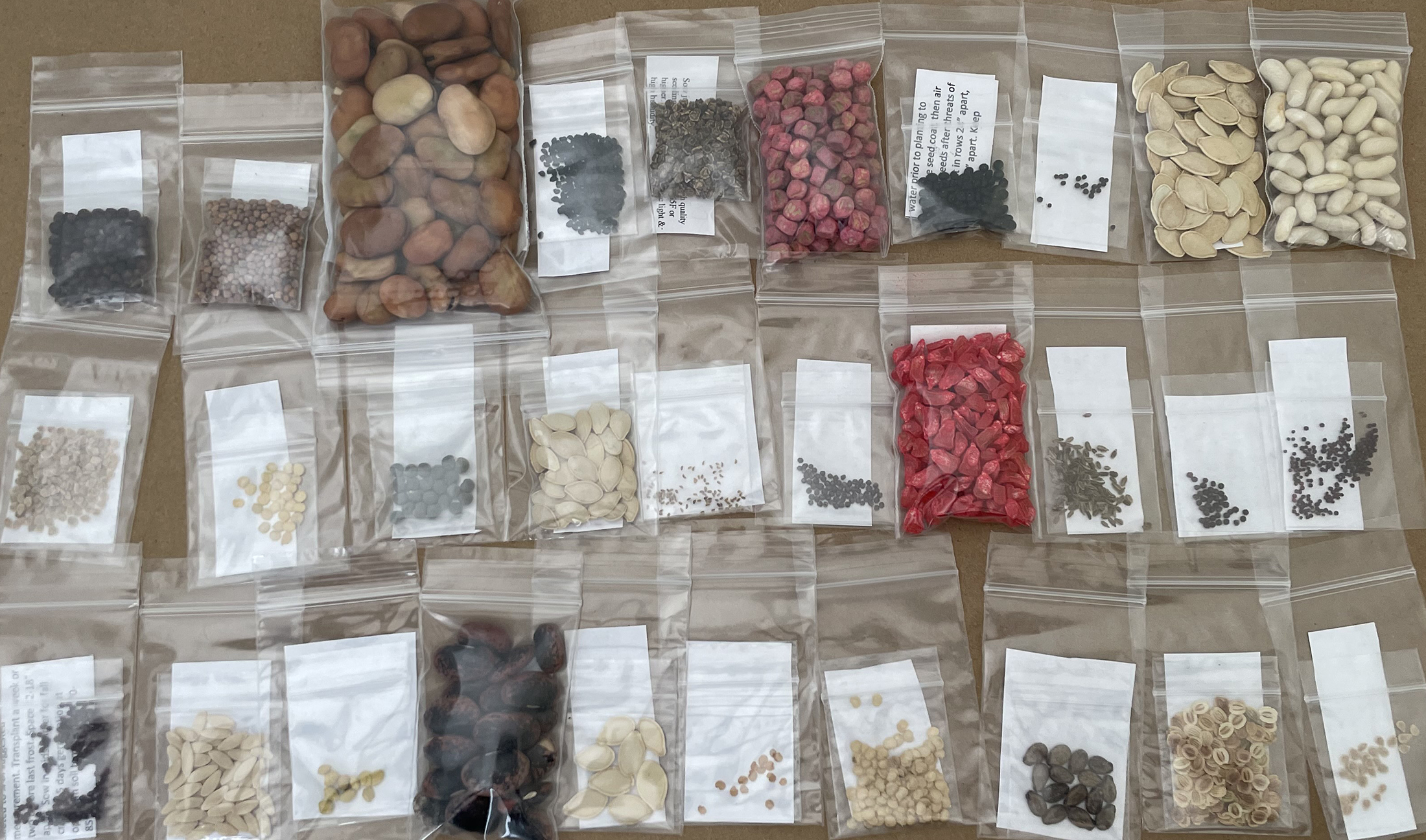 Emergency Vegetable Survival Seed Kit 30 Varieties NonGMO Hirt's