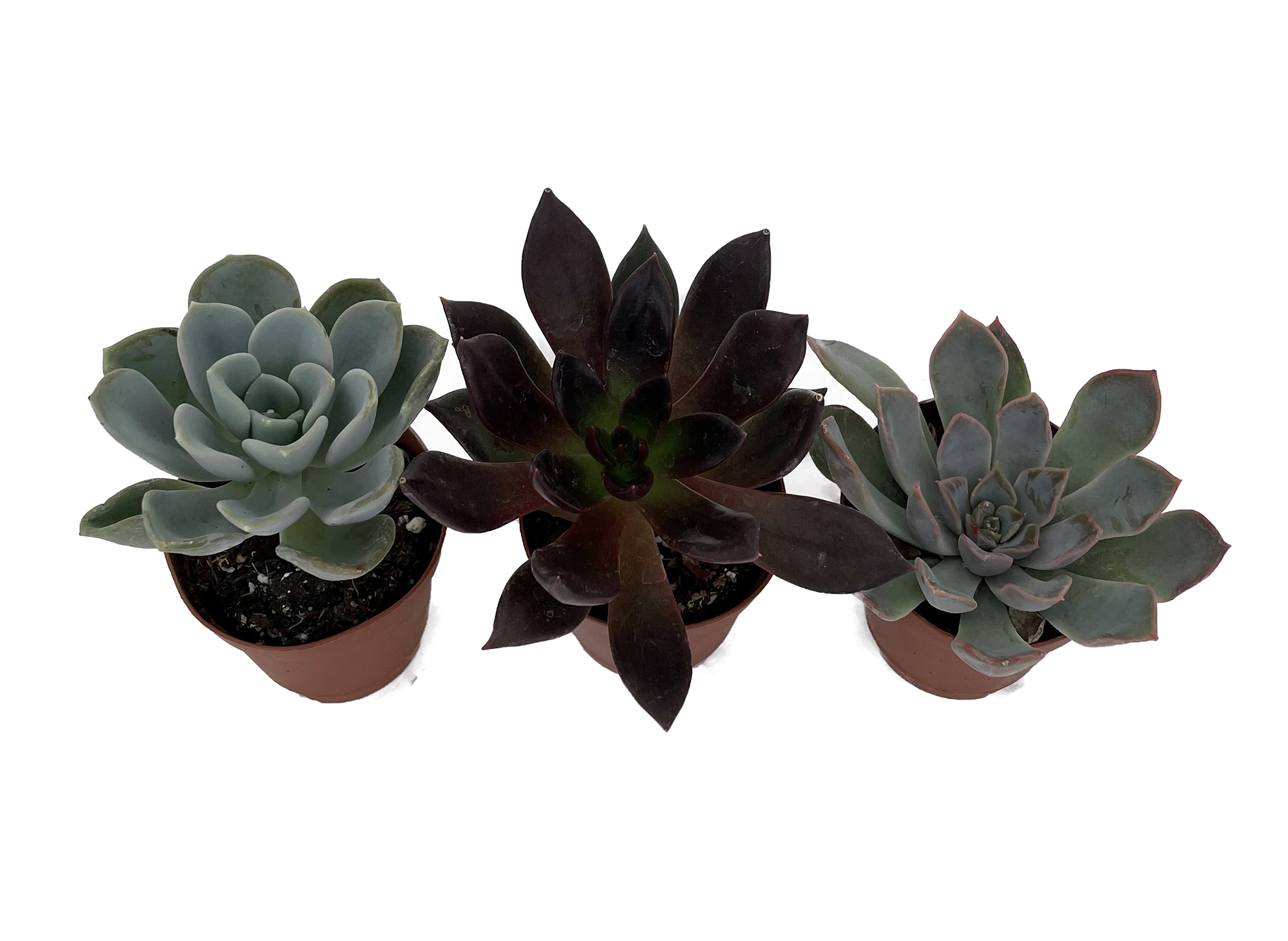 ferm living plant box brett Ferm Living - Plant Box Two-Tier