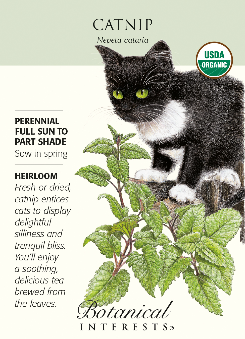 plant tomato seed Rainbow Blend Pole Cherry Tomato Seeds  Epic Gardening