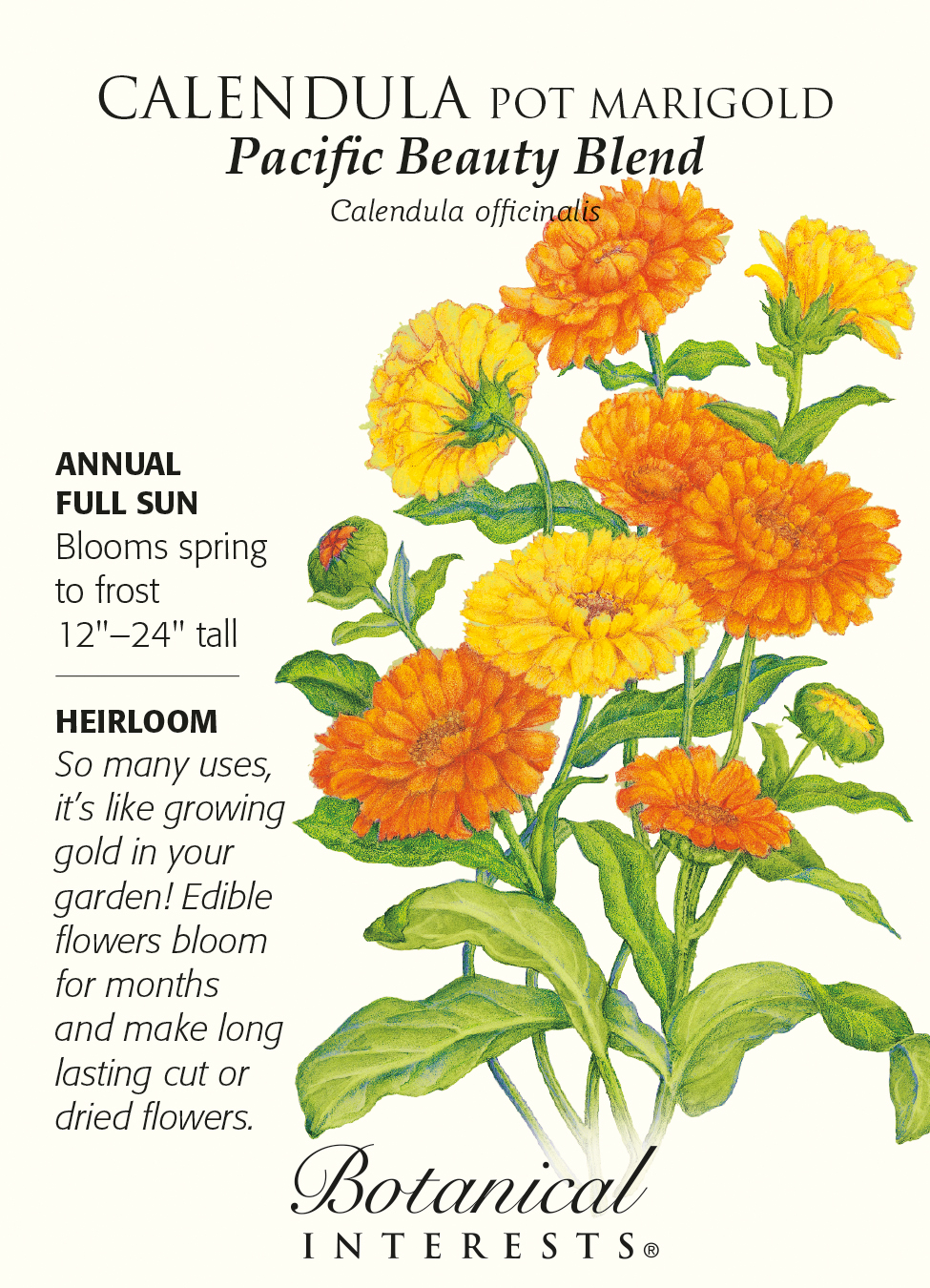 Pacific Beauty Pot Marigold Calendula Seeds - 1.5 grams
