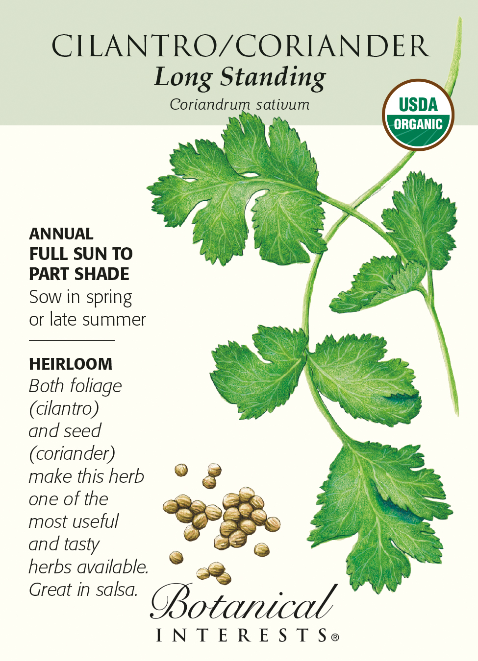 Long Standing Cilantro Seeds - 3 grams - Organic - Hirt's Gardens