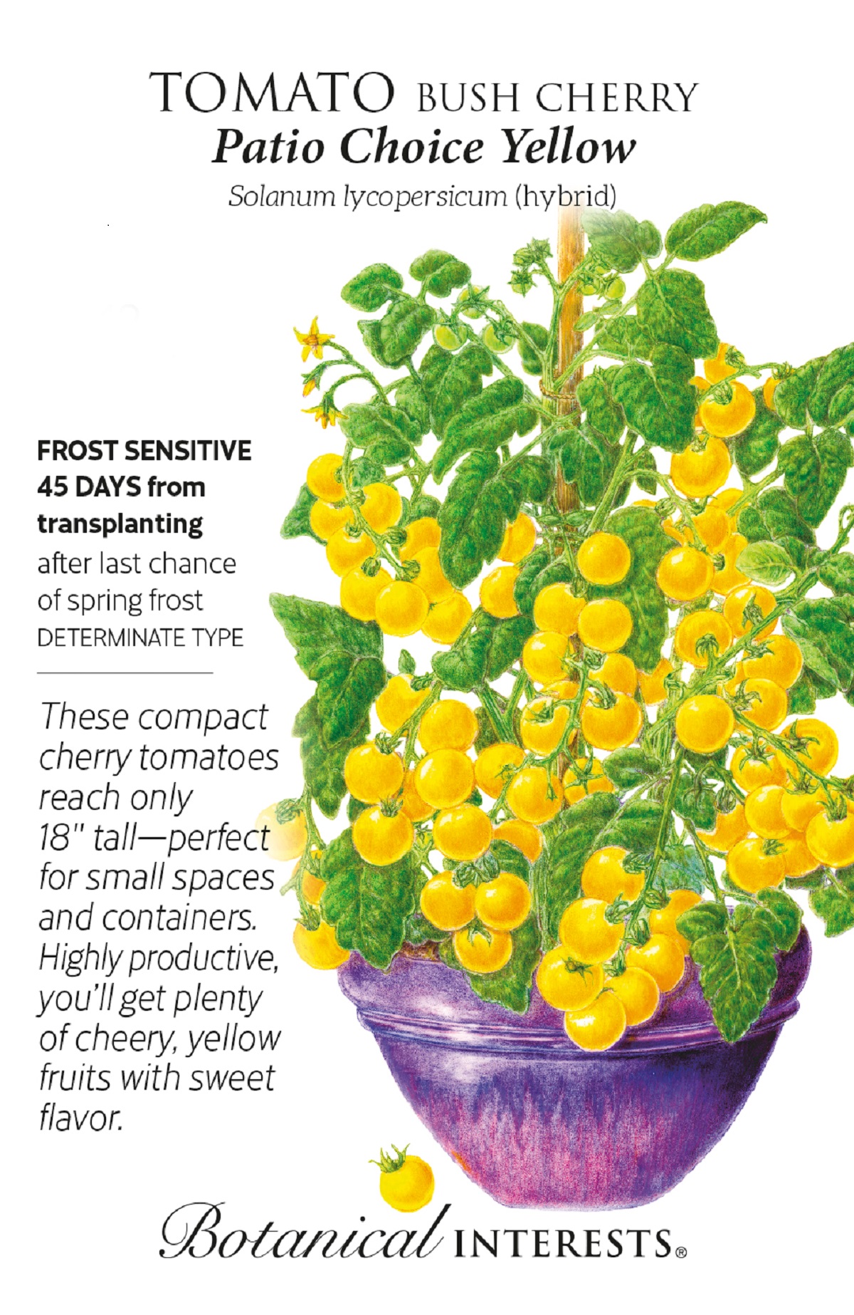 Patio Choice Yellow Bush Cherry Tomato Seeds - 20 Seeds - Hirt's Gardens