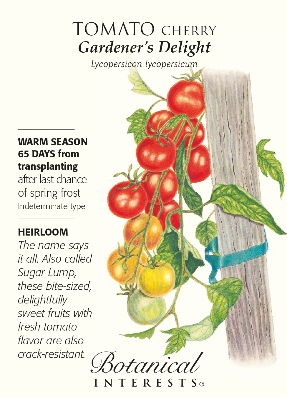 Gardeners Delight Cherry Tomato Seeds 25 Seeds Hirt's Gardens
